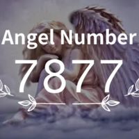 7877 Club