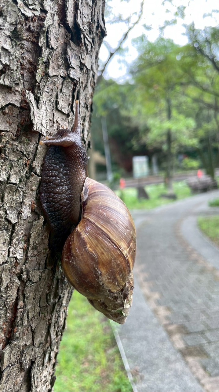 建德山莊7號棟