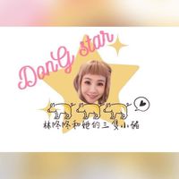 咚咚心動選物派對📦🎉🛍️🛒