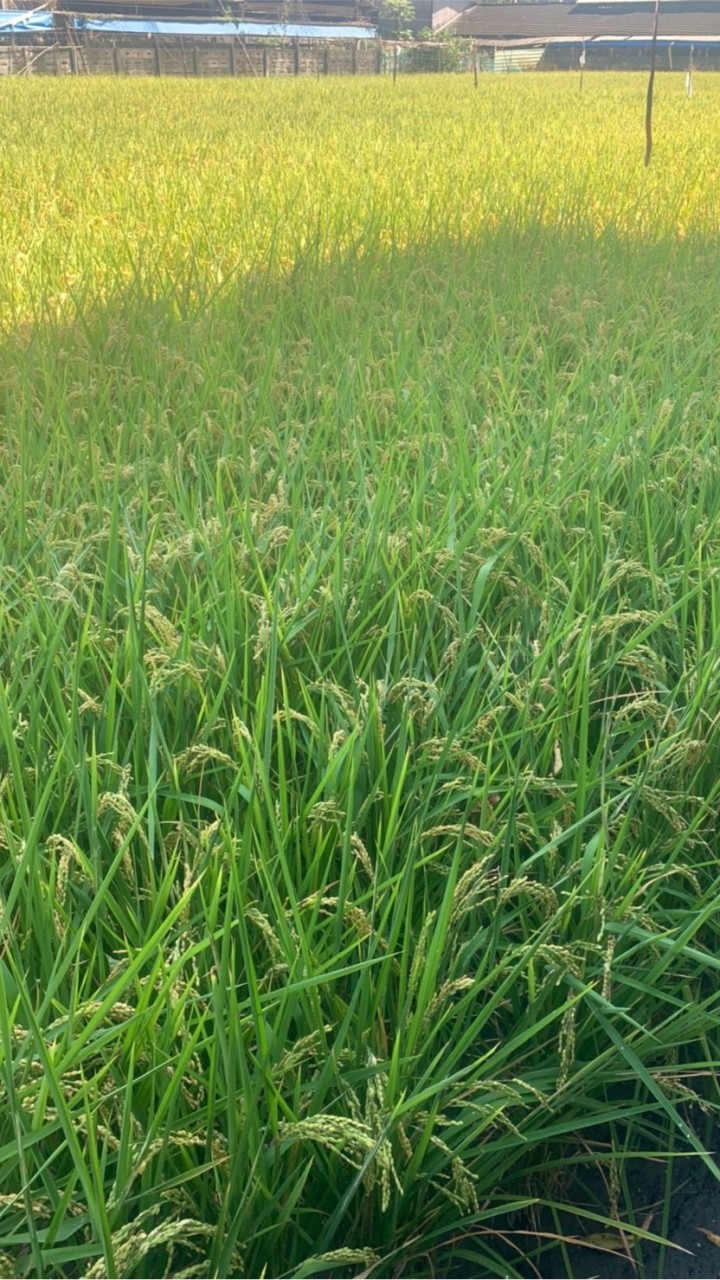 種蔬果養花卉開心分享群