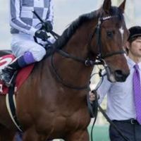 副業、専業なんでもフリースペース