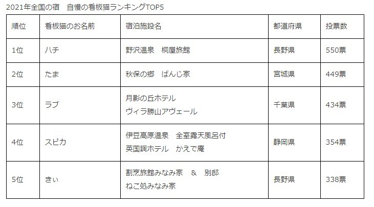 いつか会いに行きたい 21年の全国宿自慢の看板猫ランキング