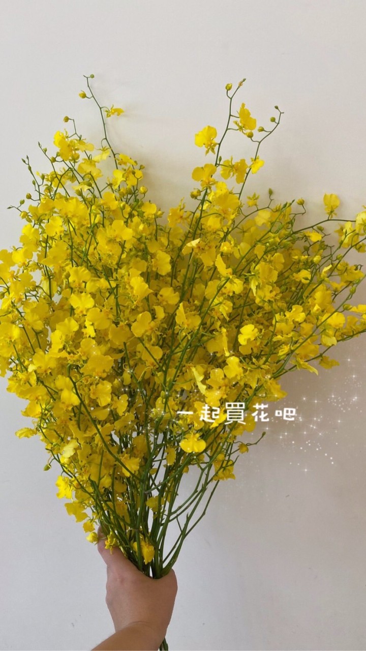 一起買花吧青埔💐