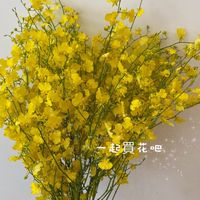 一起買花吧青埔💐