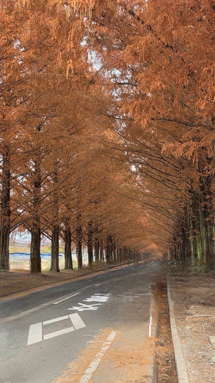 びわ湖⛱️おしゃれバイクむすび🏍️💨