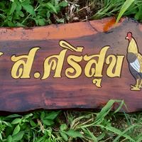 ไก่ชนสายคลอง