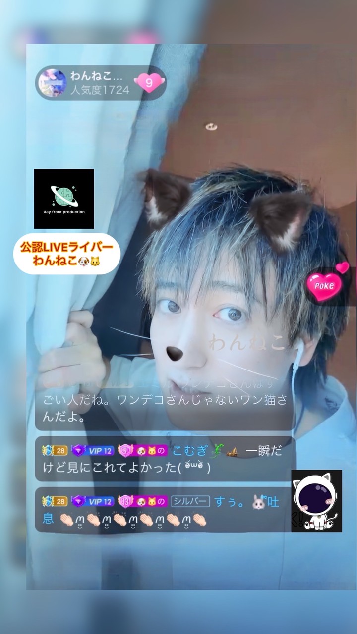 わんねこお知らせチャンネルだぞっ