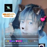 わんねこお知らせチャンネルだぞっ