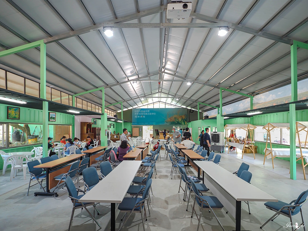 金黃花海攻占全台！５處金針花祕境：多達10萬株、北部最大、衝彰化免費拍爆