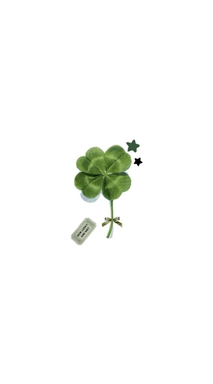 2026 武さん生誕🍀