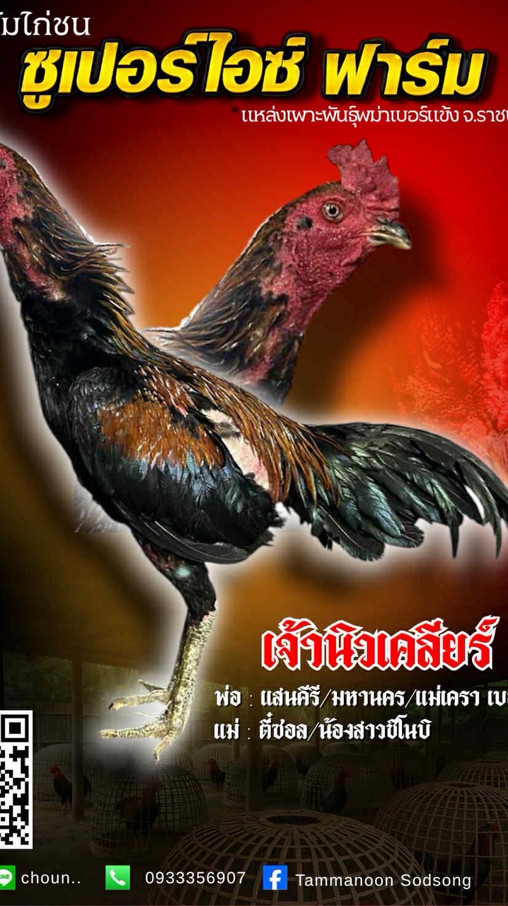 ซูเปอร์ไอซ์ฟาร์ม