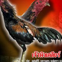 ซูเปอร์ไอซ์ฟาร์ม