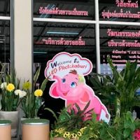 สำนักงานบังคับคดีจังหวัดเพชรบุรี