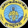 เทศบาลเมืองนาสาร