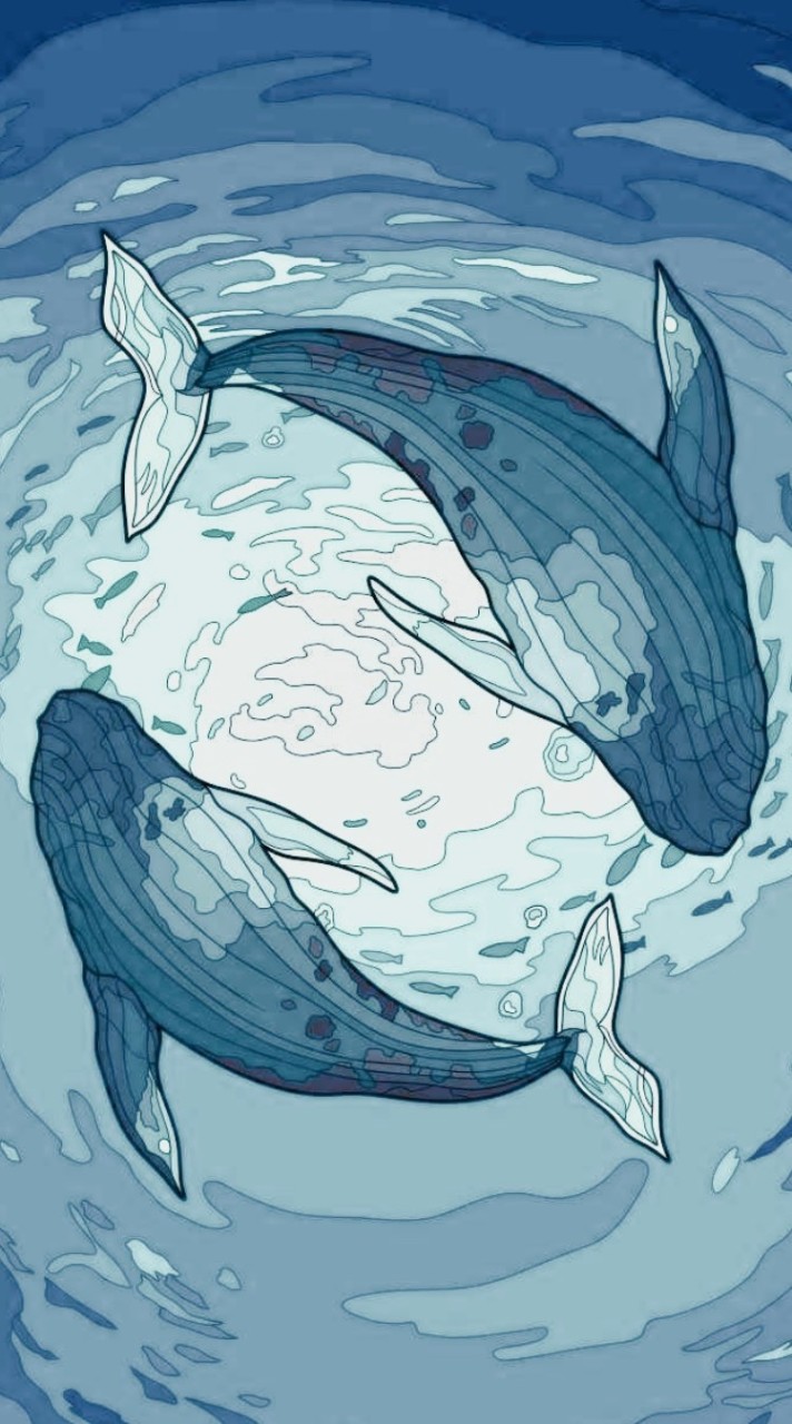 ☆⁠🐳💙深海藍鯨島💙🐳☆⁠