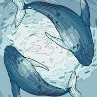 ☆⁠🐳💙深海藍鯨島💙🐳☆⁠