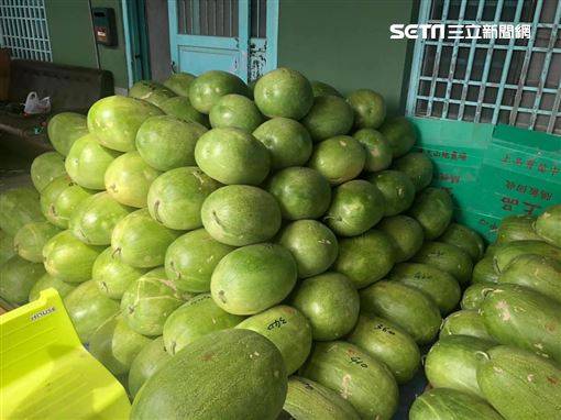 單親癌父種西瓜養家　手術前憂賣不完