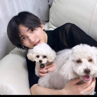 なにわ男子動画 写真を共有
