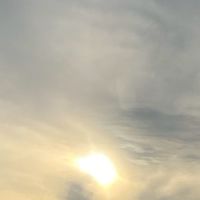 คกคกคนกวน