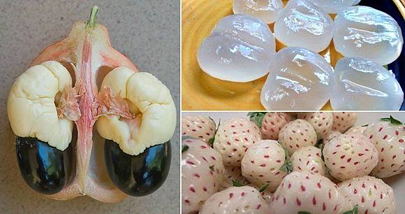 5 Buah Yang Mungkin Belum Pernah Anda Ketahui Sebelumnya Salah Satunya Apel Es Intisari Line Today