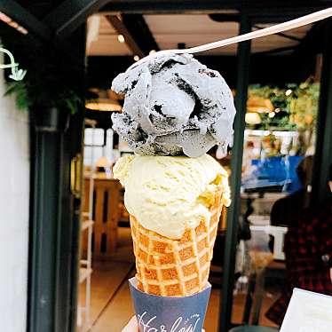 Harlow Ice Cream Tokyo ハーロウ アイス クリーム トウキョウ 代々木 代々木八幡駅 アイスクリーム By Line Place