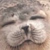 SHEIN協力しましょう💖