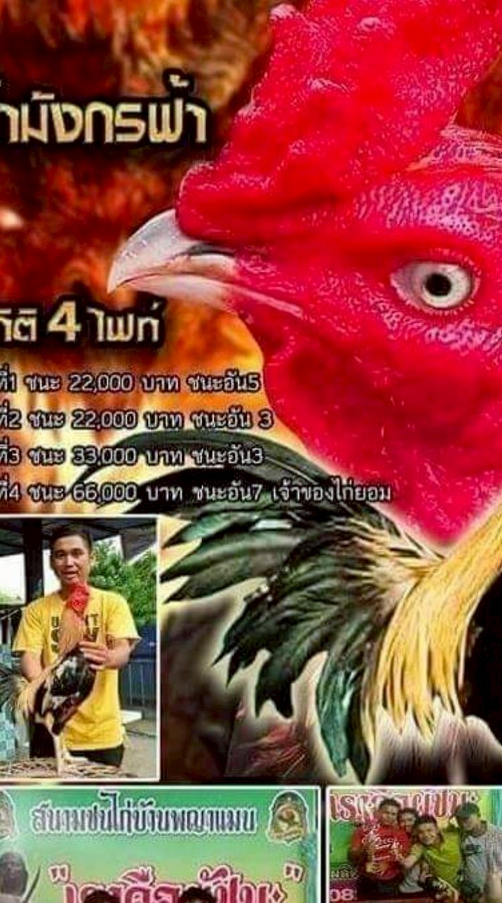 ไก่ชน บอล พิชัย
