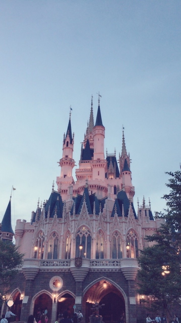 跟著萱萱去旅遊✈️公布欄只貼不回