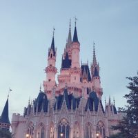 跟著萱萱去旅遊✈️公布欄只貼不回