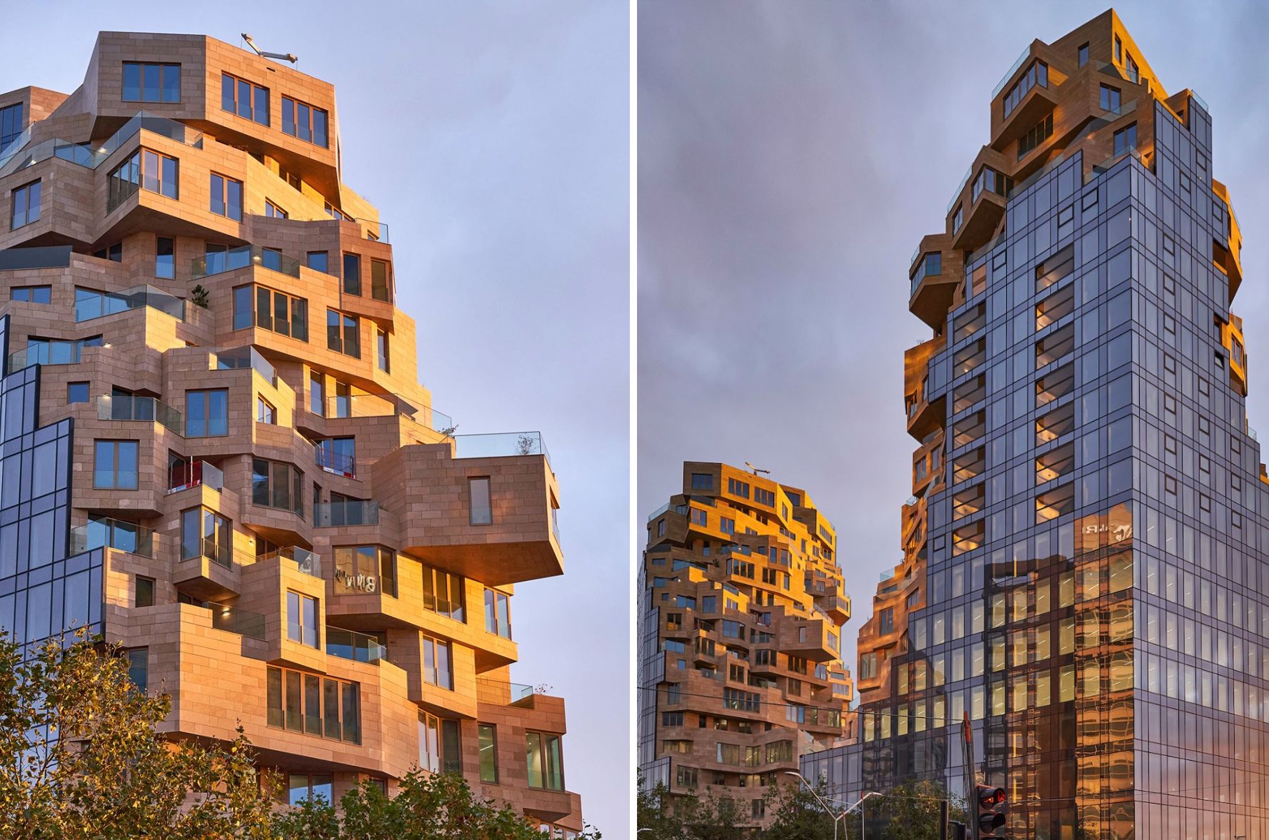 建築;植被;綠建築;荷蘭;商空;住宅