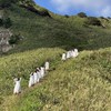 宵月坂46 5期生 オーディション    【⠀架空坂道   】