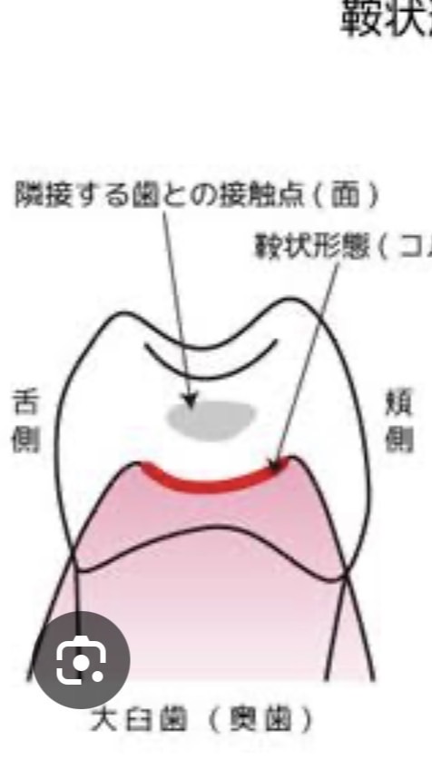 みんなで色々話そ♪