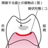 みんなで色々話そ♪