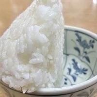 はんちゃん