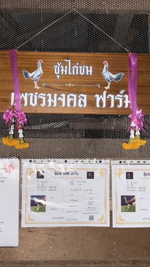 ซุ้มไก่ชน เพชรมงคล ฟาร์ม (บ้านโป่ง)