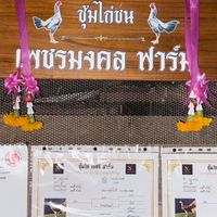 ซุ้มไก่ชน เพชรมงคล ฟาร์ม (บ้านโป่ง)