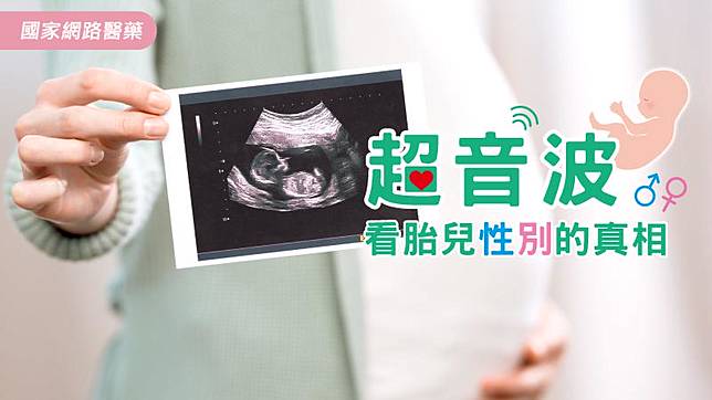 超音波看胎兒性別的真相 Kingnet 國家網路醫藥 Line Today