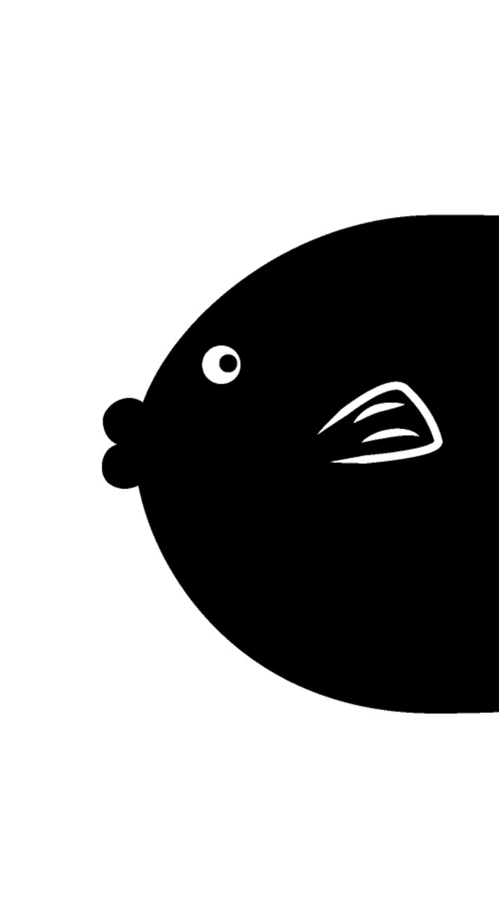 森の魚🐟️アルバム