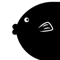 森の魚🐟️アルバム