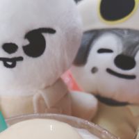 SKZ哩哩扣扣代購
