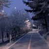 《激激緩也❣️》好きという2文字じゃ頼りないから
