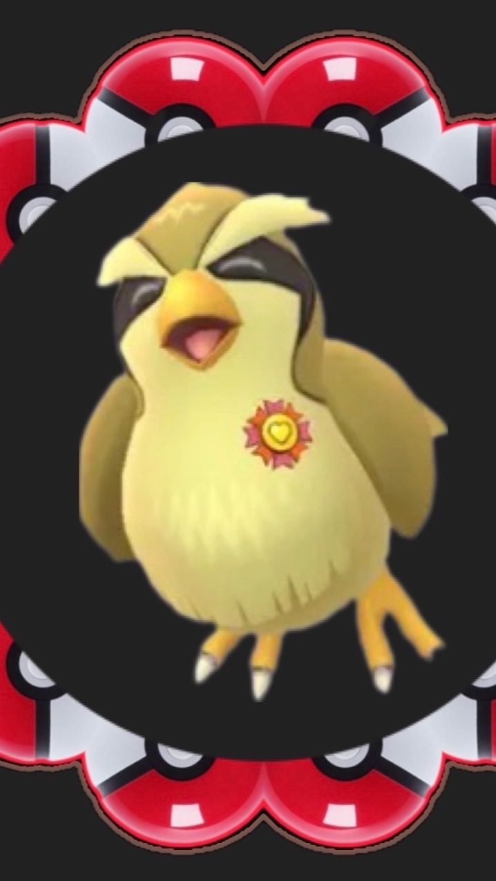 🐤ポッポ癒しルーム🐤