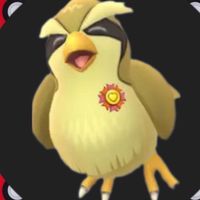 🐤ポッポ癒しルーム🐤