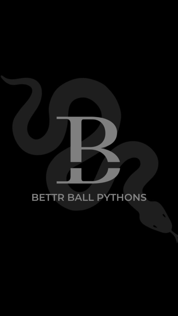 BETTR Ball Pythons