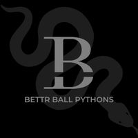 BETTR Ball Pythons