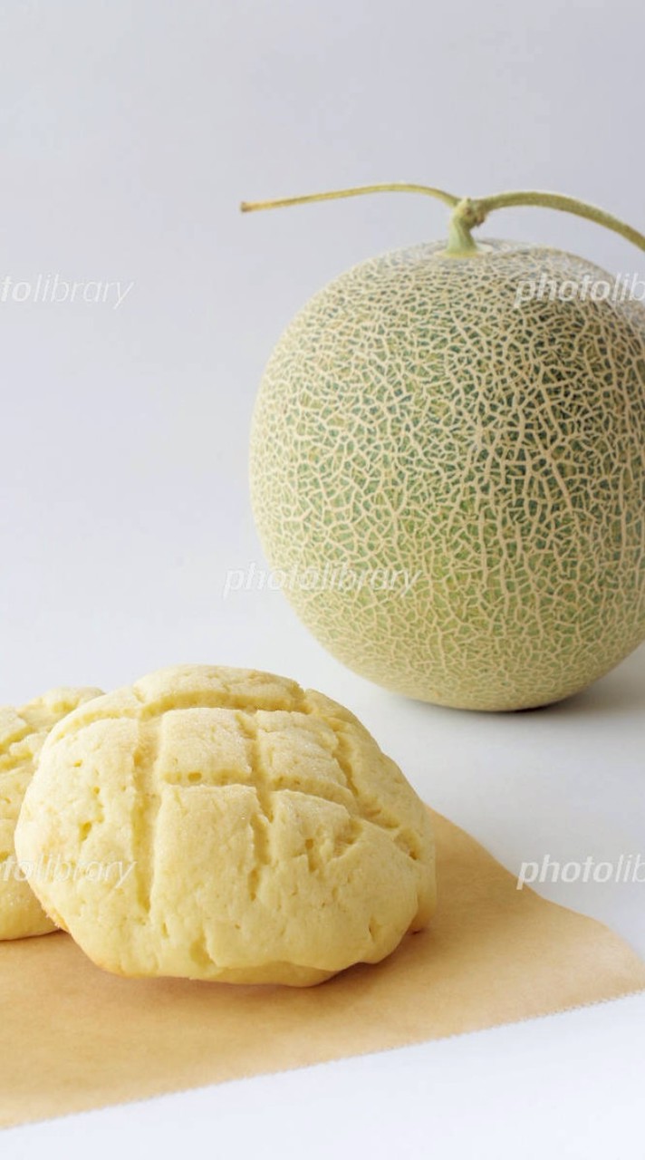 🍈魔法秘匿軍語り