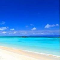 〖茨城県〗🐾40代、50代大人の遊び場٩(ˊᗜˋ*)و飲み、ランチ好きな人おいで🎵