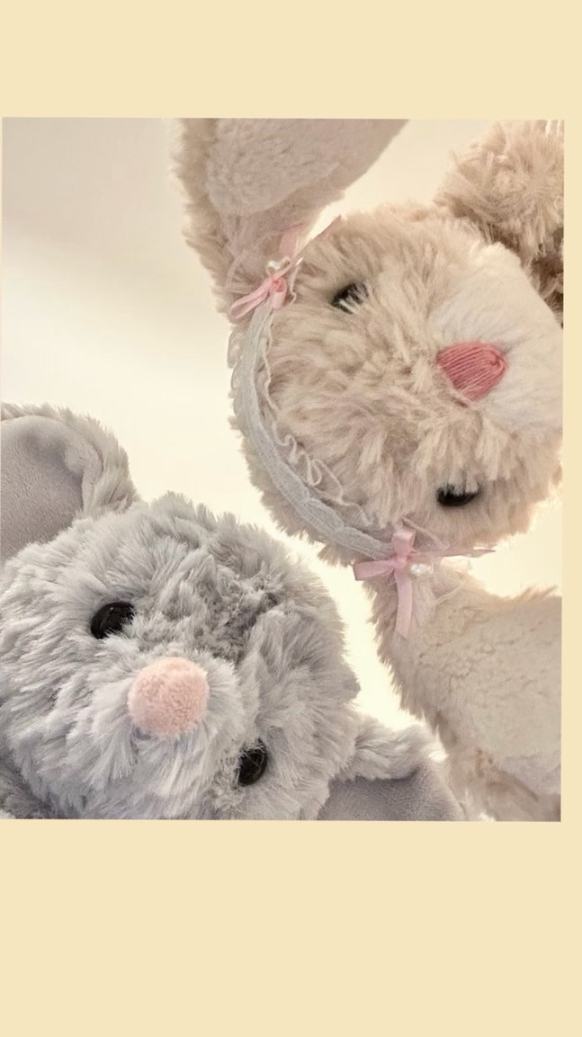 各國代購選品｜𝒄𝒖𝒕𝒆小物. 𐙚·‎˖🌸⁺₊ ⸝⸝⸝🐰