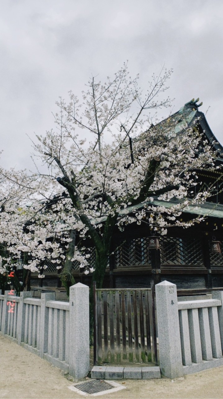 Becca幫你買