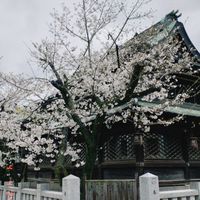 Becca幫你買